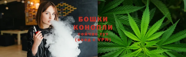сатива Верея