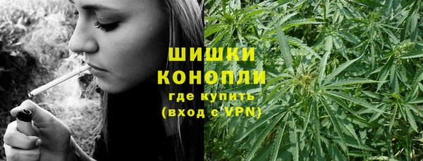 сатива Верея