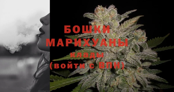 сатива Верея