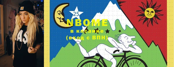 сатива Верея