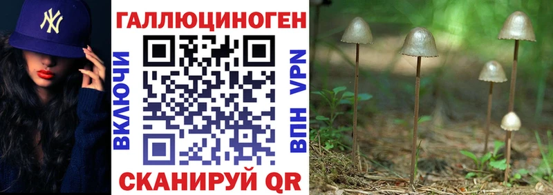 Купить где  Севск  Псилоцибиновые грибы ЛСД 